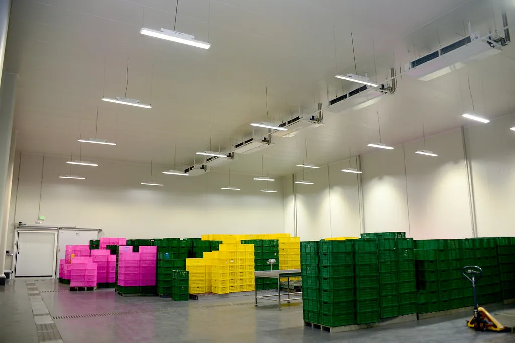 Cámara frigorífica para alimentos con panel aislante · panel sándwich con entrega en Mérida y Península