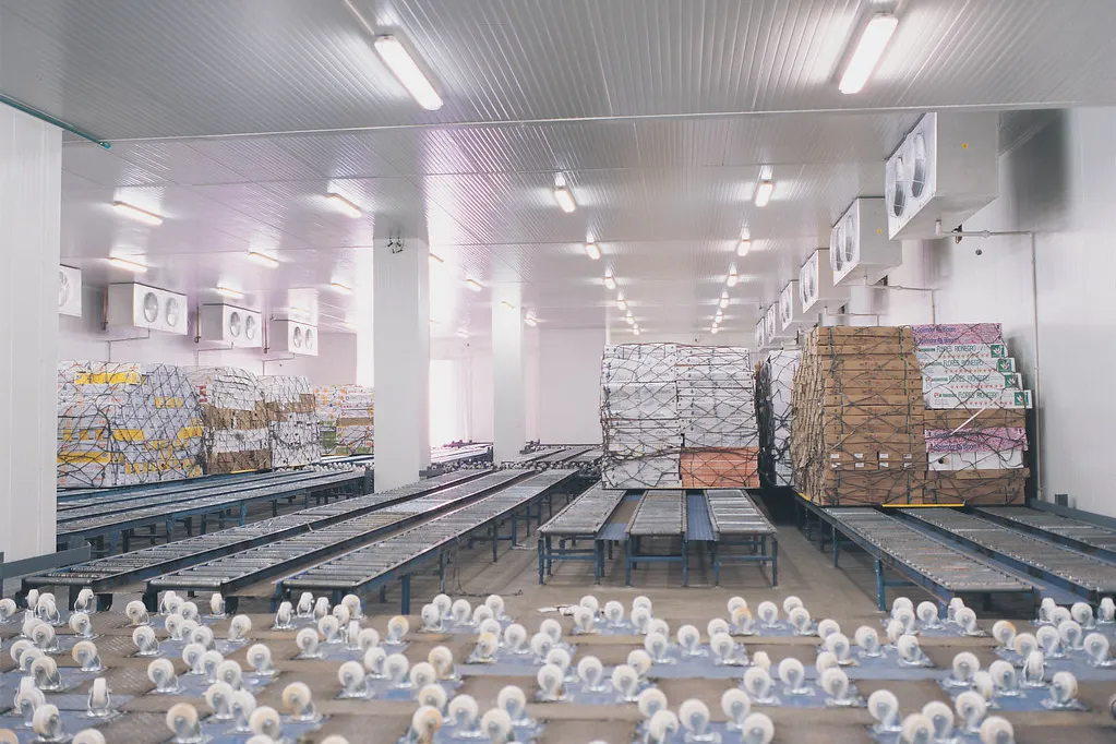 Sala de proceso de alimentos con panel sanitario en muros y plafón · panel sándwich con entrega en Mérida y Península